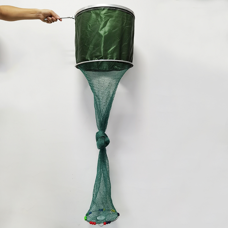 40 #2.5 m long, with a one-rounded green tape